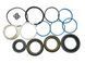 Ремкомплект кермової рейки з ГУР Renault Laguna RE9025KIT, Renault Laguna, Renault Laguna