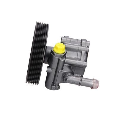 Насос ГУР Dacia Logan RE038R, Dacia Logan, Dacia Logan Mcv, Dacia Sandero, Dacia Duster, Nissan Kubistar, Renault Kangoo, Renault