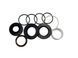 Ремкомплект кермової рейки з ГУР Chery Fora CY9009KIT, Chery Fora, Chery Fora